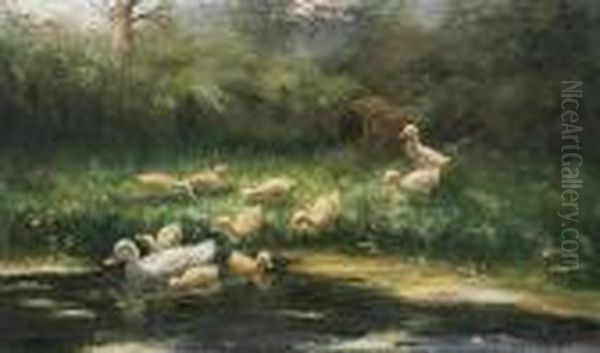 A First Swim For The Ducklings Oil Painting by David Adolf Constant Artz