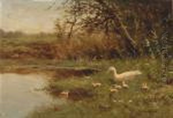 A Family Of Ducks Oil Painting by David Adolf Constant Artz