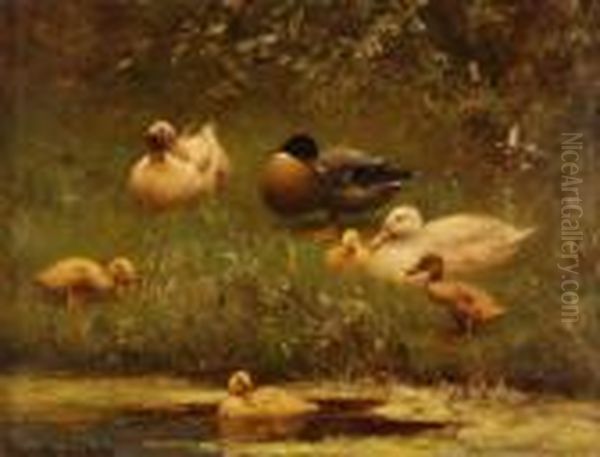 Eendenfamilie Aan De Waterkant Oil Painting by David Adolf Constant Artz