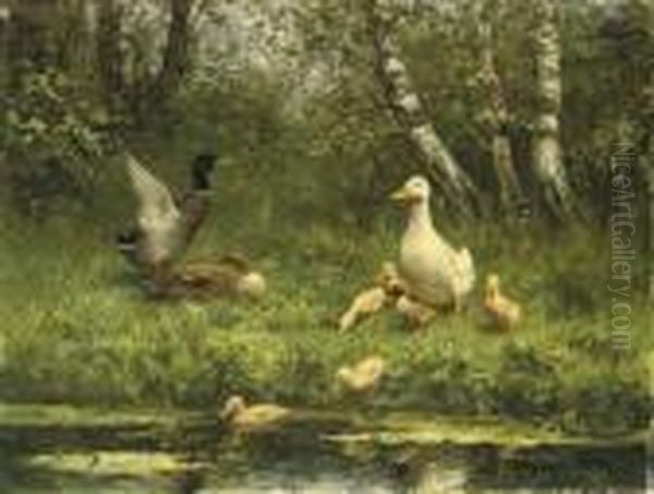 Ducks On The Waterfront Oil Painting by David Adolf Constant Artz