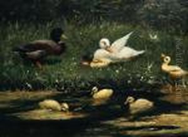 Ducks And Ducklings At The Waterside by David Adolf Constant Artz