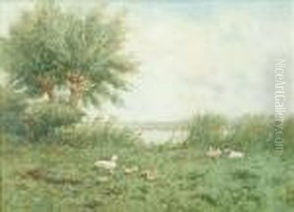 Ducks And Ducklingson The River Bank Oil Painting by David Adolf Constant Artz