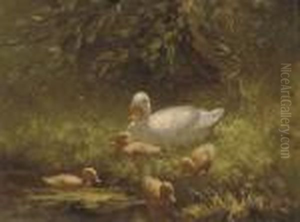 Mother Duck And Her Ducklings by David Adolf Constant Artz