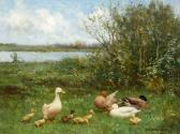 Eendenfamilie Oil Painting by David Adolf Constant Artz