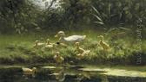 Ducklings On A Sunlit Riverbank Oil Painting by David Adolf Constant Artz