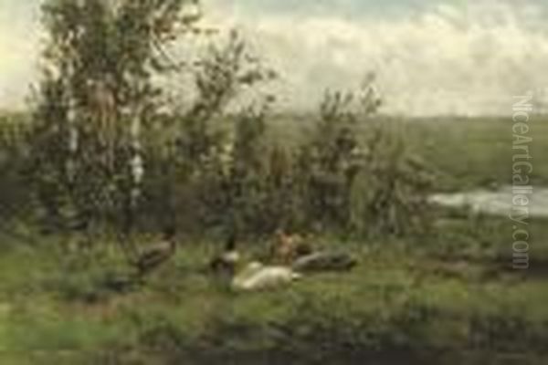 A Group Of Ducks In The Meadow Oil Painting by David Adolf Constant Artz