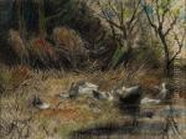 Ducks In The Grass By The Edge Of A Ditch Oil Painting by David Adolf Constant Artz