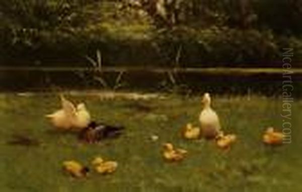 Ducks And Chicks By The Waterside Oil Painting by David Adolf Constant Artz