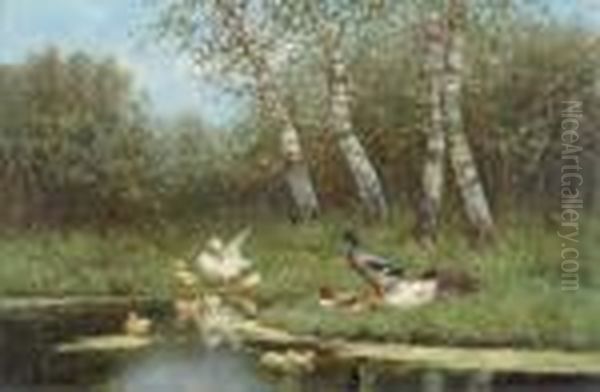 Enten Am Teich. Oil Painting by David Adolf Constant Artz