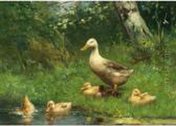 Duck And Ducklings At The Waterside Oil Painting by David Adolf Constant Artz