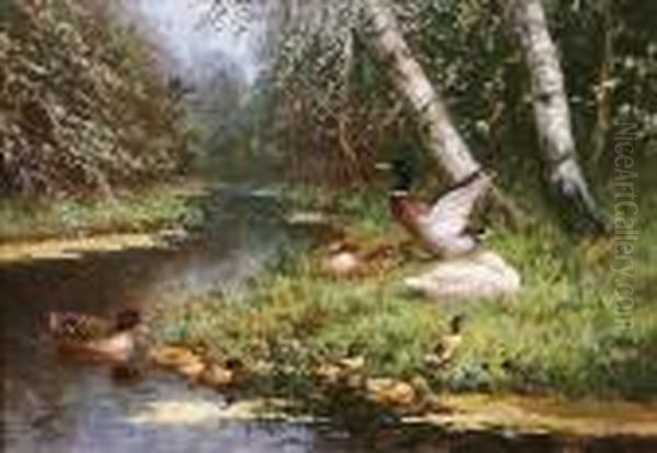 Enten Am Wasser Vor Waldhintergrund by David Adolf Constant Artz