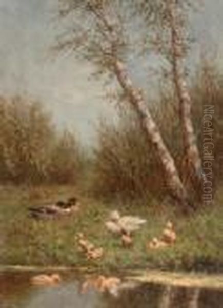 Ducks On A Riverbank Oil Painting by David Adolf Constant Artz