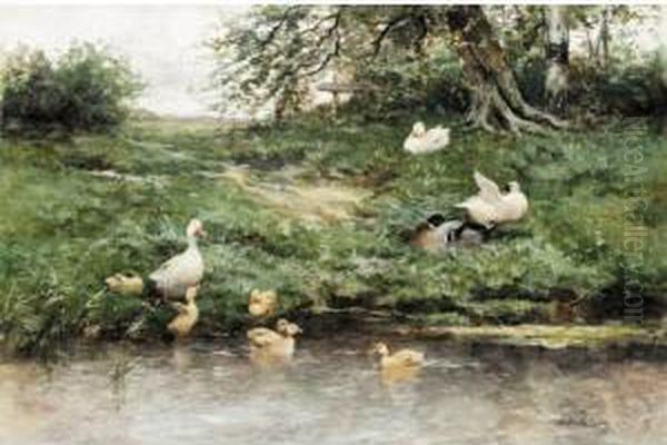 Ducks And Ducklings On The River Bank Oil Painting by David Adolf Constant Artz