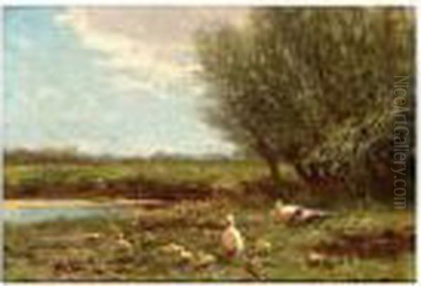 Ducks With Ducklings On The Riverbank Oil Painting by David Adolf Constant Artz