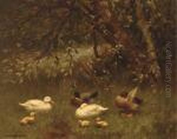 Ducks And Ducklings In The Shade Of A Tree Oil Painting by David Adolf Constant Artz