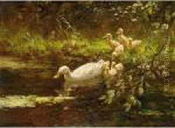 Ducks Watering Oil Painting by David Adolf Constant Artz