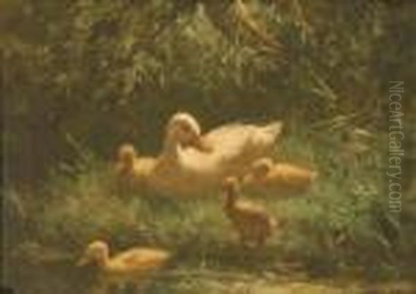 Ducks By The Waterside Oil Painting by David Adolf Constant Artz