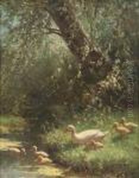 A Duck Family On The Riverbank Oil Painting by David Adolf Constant Artz