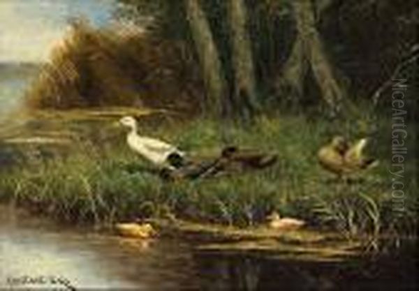 Patos En El Rio Oil Painting by David Adolf Constant Artz