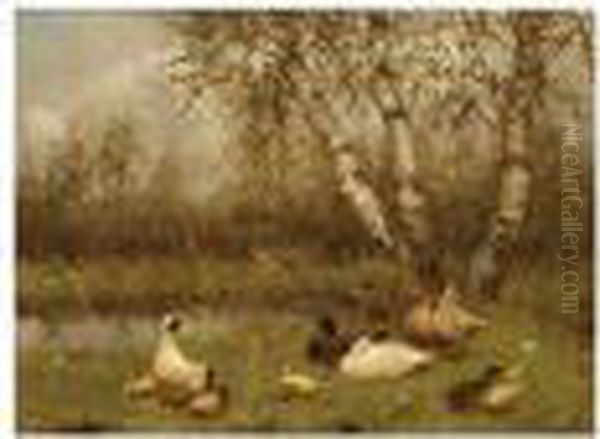 Duck With Ducklings On The Riverbank Oil Painting by David Adolf Constant Artz