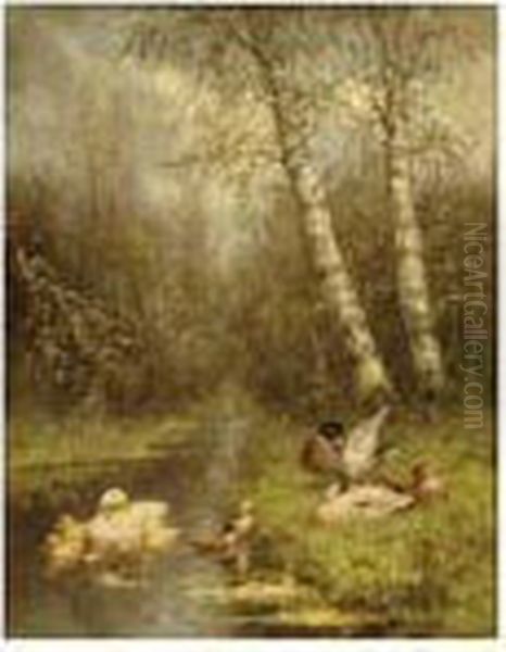 Ducks With Ducklings Oil Painting by David Adolf Constant Artz