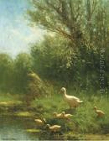 A Duck Watching Over Her Young Oil Painting by David Adolf Constant Artz