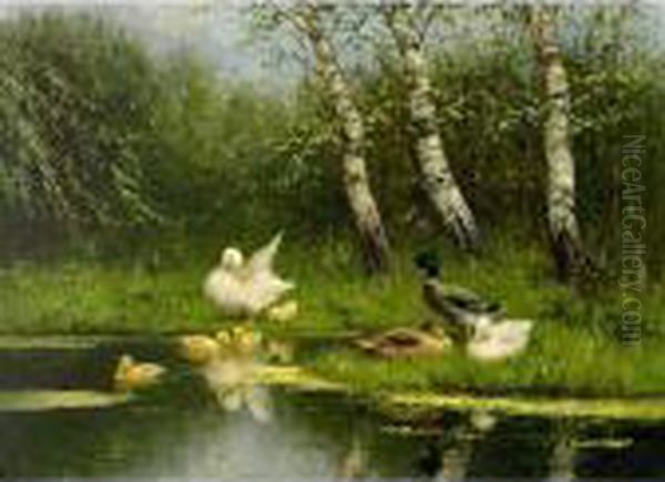 Mother Duck With Ducklings; Duck Family At The Waterside Oil Painting by David Adolf Constant Artz