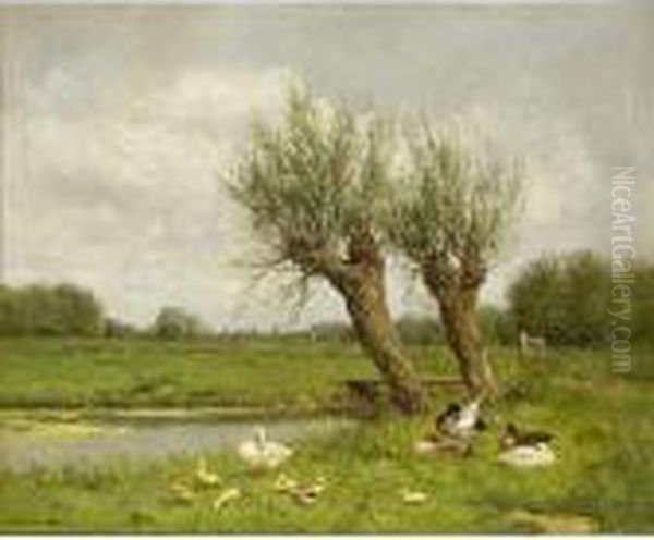 Ducks With Ducklings Near The Waterside Oil Painting by David Adolf Constant Artz