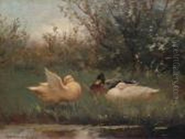 Ducks On A Riverbank Oil Painting by David Adolf Constant Artz