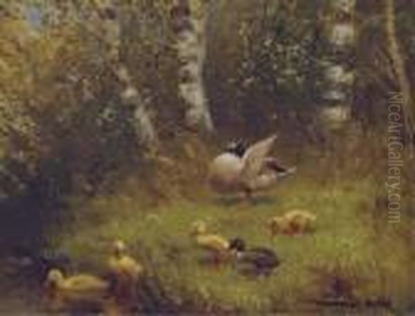 Ducks On The Waterside Oil Painting by David Adolf Constant Artz