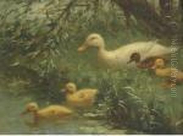 Ducklings With Their Mother At The Waterside Oil Painting by David Adolf Constant Artz