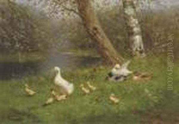 Ducks And Ducklings By The Waterside Oil Painting by David Adolf Constant Artz