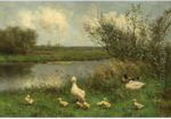 Duck With Ducklings Near The Waterside by David Adolf Constant Artz