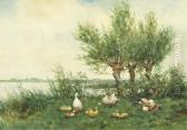 Ducks With Ducklings On A Riverbank Oil Painting by David Adolf Constant Artz