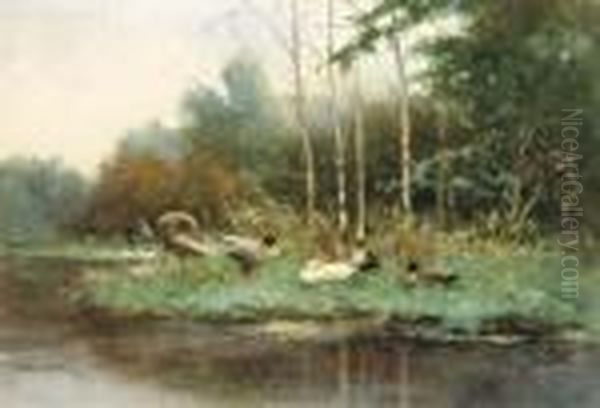 Ducks On A Riverbank by David Adolf Constant Artz