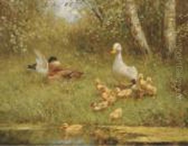 Ducks By The Waterside Oil Painting by David Adolf Constant Artz