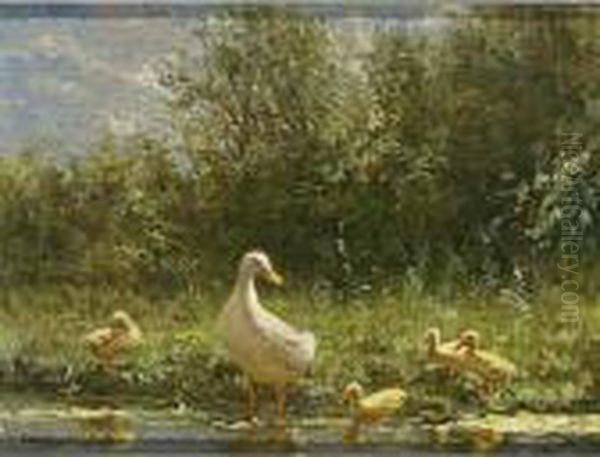 Duck With Her Ducklings On The Riverbank Oil Painting by David Adolf Constant Artz