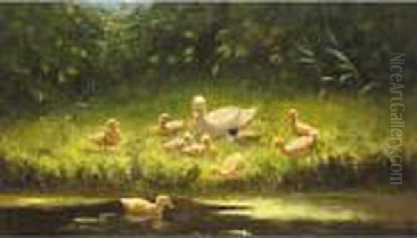 A Duck And Her Young On The River Bank Oil Painting by David Adolf Constant Artz