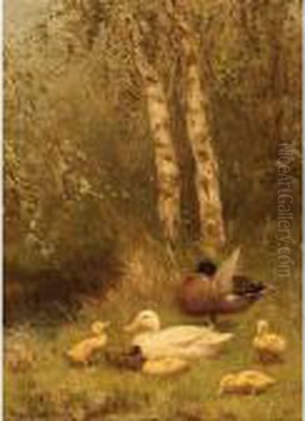 Duck With Ducklings On The Riverside by David Adolf Constant Artz