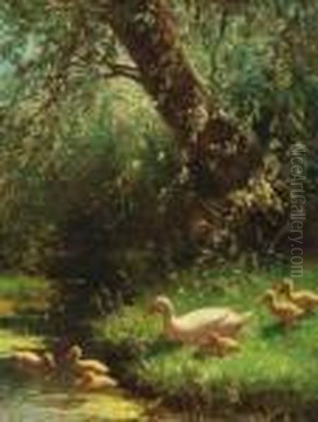 Duck And Ducklings On A Riverbank Oil Painting by David Adolf Constant Artz