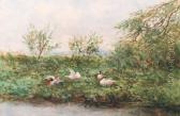 Ducks On A Riverbank Oil Painting by David Adolf Constant Artz