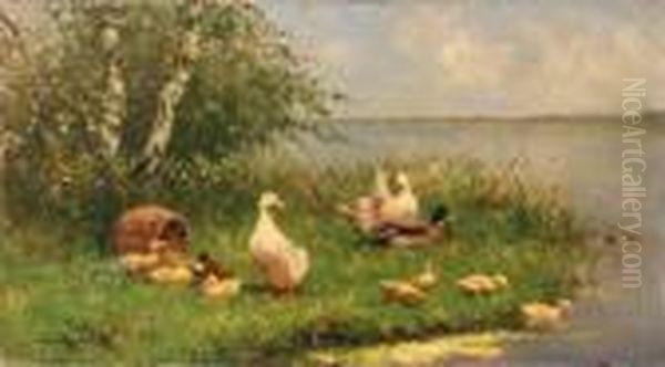 Ducks And Ducklings On A Sunlit Riverbank Oil Painting by David Adolf Constant Artz