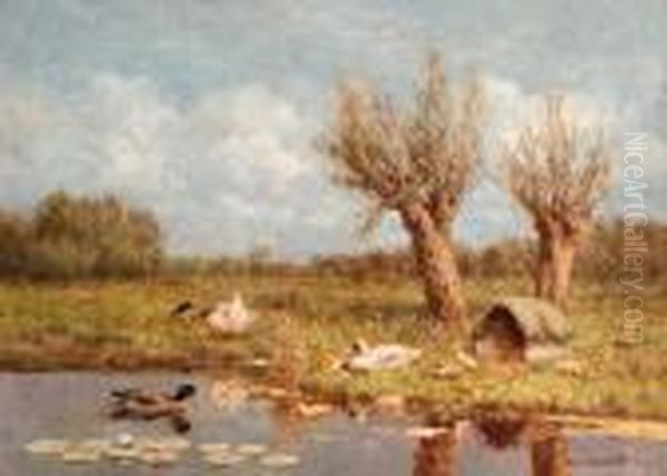 Ducks And Ducklings On A Riverbank In Summer Oil Painting by David Adolf Constant Artz