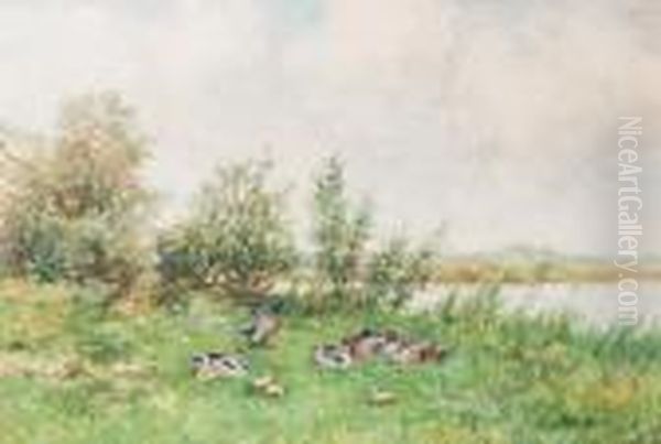 Ducks And Ducklings By The Waterside Oil Painting by David Adolf Constant Artz