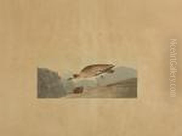 Rocky Mountain Plover Oil Painting by John James Audubon