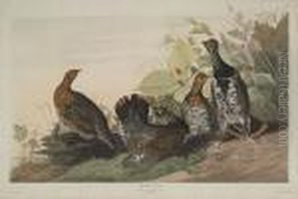 Spotted Grous Oil Painting by John James Audubon