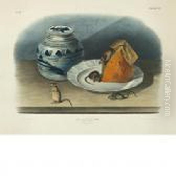 Common Mouse Oil Painting by John James Audubon