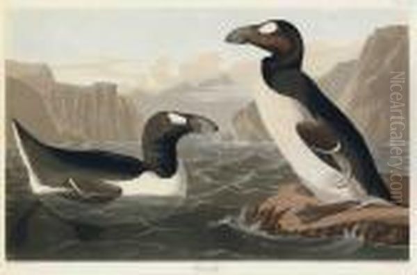 Great Auk Oil Painting by John James Audubon