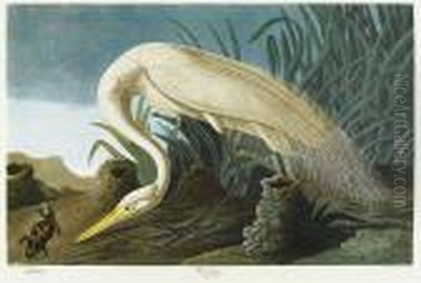 Untitled Oil Painting by John James Audubon