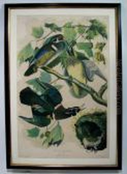 Summer Or Wood Duck Oil Painting by John James Audubon